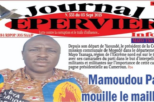 Le Président de la Commission Communale de Mogodé mouille le maillot pour la campagne électorale